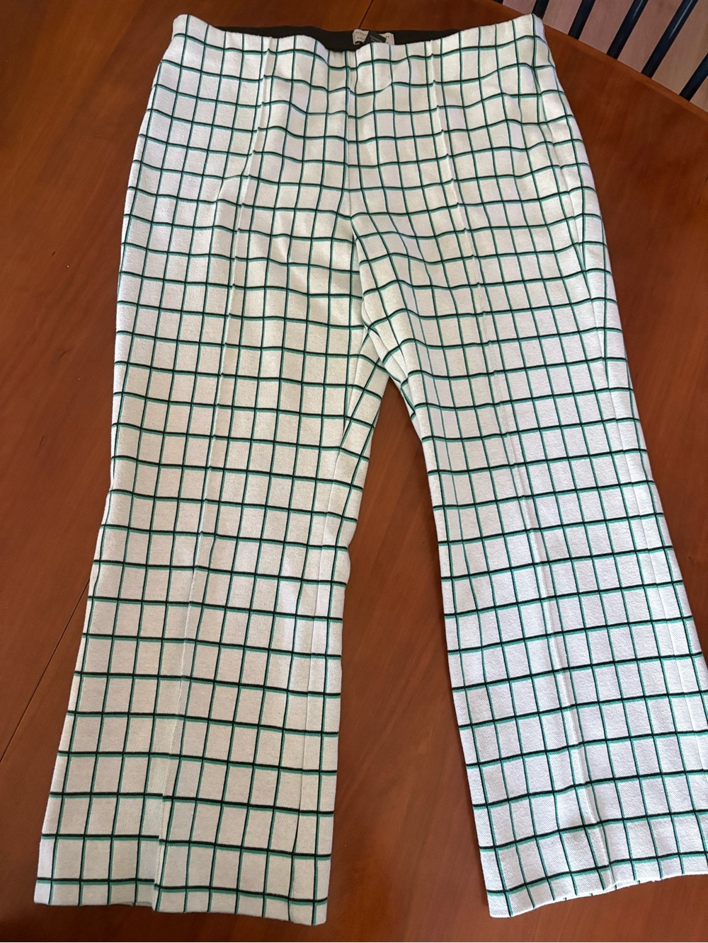 Anthropologie Pants! White with black and green check